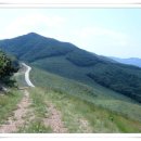 싸리목장 이미지