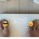 한국암웨이(주) | 출산 후 다이어트 2탄, 식단 없이 정체기 극복 (암웨이 프로틴 효과?) 몸무게 인증 있음