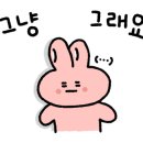 딜리데이