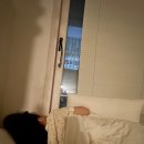 김포백구두대통삼겹살 | 근 황