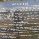 가마해안도로 Daum카페