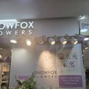 GS25물금 메트로점 | [강남 꽃집] 강남역 스노우폭스 플라워 가격 &amp; 직접 고른 꽃다발 후기