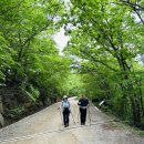 제1953신 : 지리산 화대종주2 – 코재에서 연하천까지(첫날) 이미지