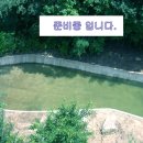 샬레리조트펜션 이미지