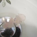 굿모닝보청기(서대전점) 이미지