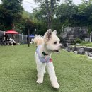 (주)소프트매쉬 이미지