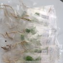 연세경인 태권도 이미지