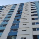 고려도장 이미지