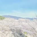 화명메디칼약국 이미지