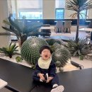 매일빈 - 천안시 동남구 | 안산 브런치 맛집 추천 아이와 방문하기 좋은 브런치빈 안산점 후기