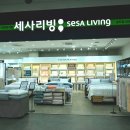 세사리빙 | 송도 트리플스트리트 세사리빙 방문 후기, 장모님 이사 알러지케어 침구 득템했어요!