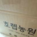 호렙농원