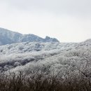 불로초목장 이미지