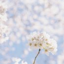 모아내과의원 이미지