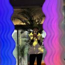 미앤마이독스 | 힙한 애견카페, 남양주 애견카페, 북한강 애견 카페, 힙한 애카 미앤마이독스 이용후기