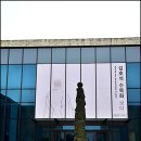 조록나무 뿌리 형상물 이미지