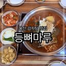 등뼈마루 네이버블로그