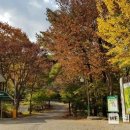 토함산 자연휴양림 이미지