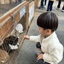 동천유치원 이미지