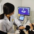 열린24시동물병원 이미지