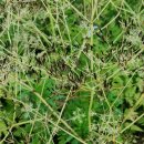 터골농장 이미지