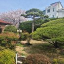 신평남부길 | 양산 통도사 맛집 인정 넓은 정원과 개별룸이 완비된 경도갈비 솔직 후기