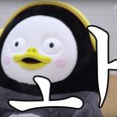 드림마트 이미지