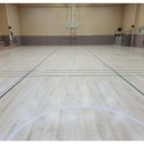 그린체육관 이미지