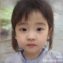 2024 연말결산
