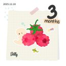 신내로16길 | [임신6~8주차] 젤리곰초음파?/임신초기검사 결과/ 산후조리원 예약(레피리움신내vs이자르태릉)/악몽