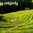 다원민박 이미지