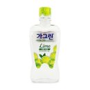 라임덴탈 이미지