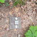 갤러리수락 이미지