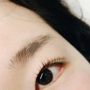 찬아보떼 (chan. A beaute')