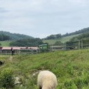 방림목장 이미지