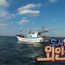 외인구단