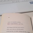 꼬투리걸 이미지