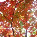 송원동로 이미지