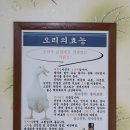 산호대로-75 에스카사