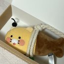 등명중학교 | 76회 한능검 시험보러 간날 + 정답 | 춘식이 액막이 명태 ㅣ 주말토리 객원 에디터 선정