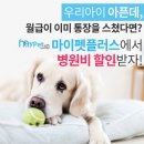 펫플러스 이미지