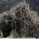 논골목장 이미지