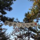 이안덴 | 진도 쏠비치1🚠(25.11.09~25.11.11)