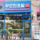 도안북로 이미지