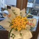 블랑-메이 이미지