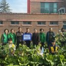 마장중학교 이미지