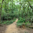 지곡초교 이미지