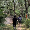 당진떡방앗간 | 충남 당진 몽산 & 또봄면천 [내포문화숲길 몽산성 시무나무길 걷기]