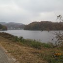 쎄느레스토랑 티스토리