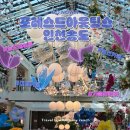 삐삐포레스트